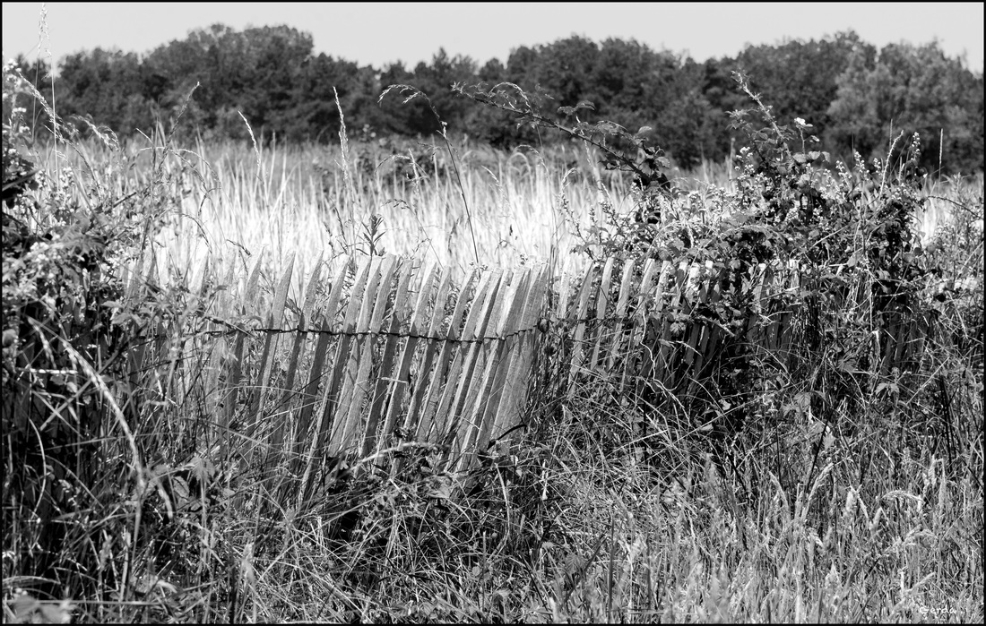 Somme-0030