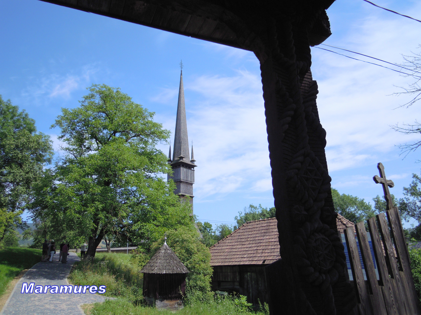 006-005-DSCN5302