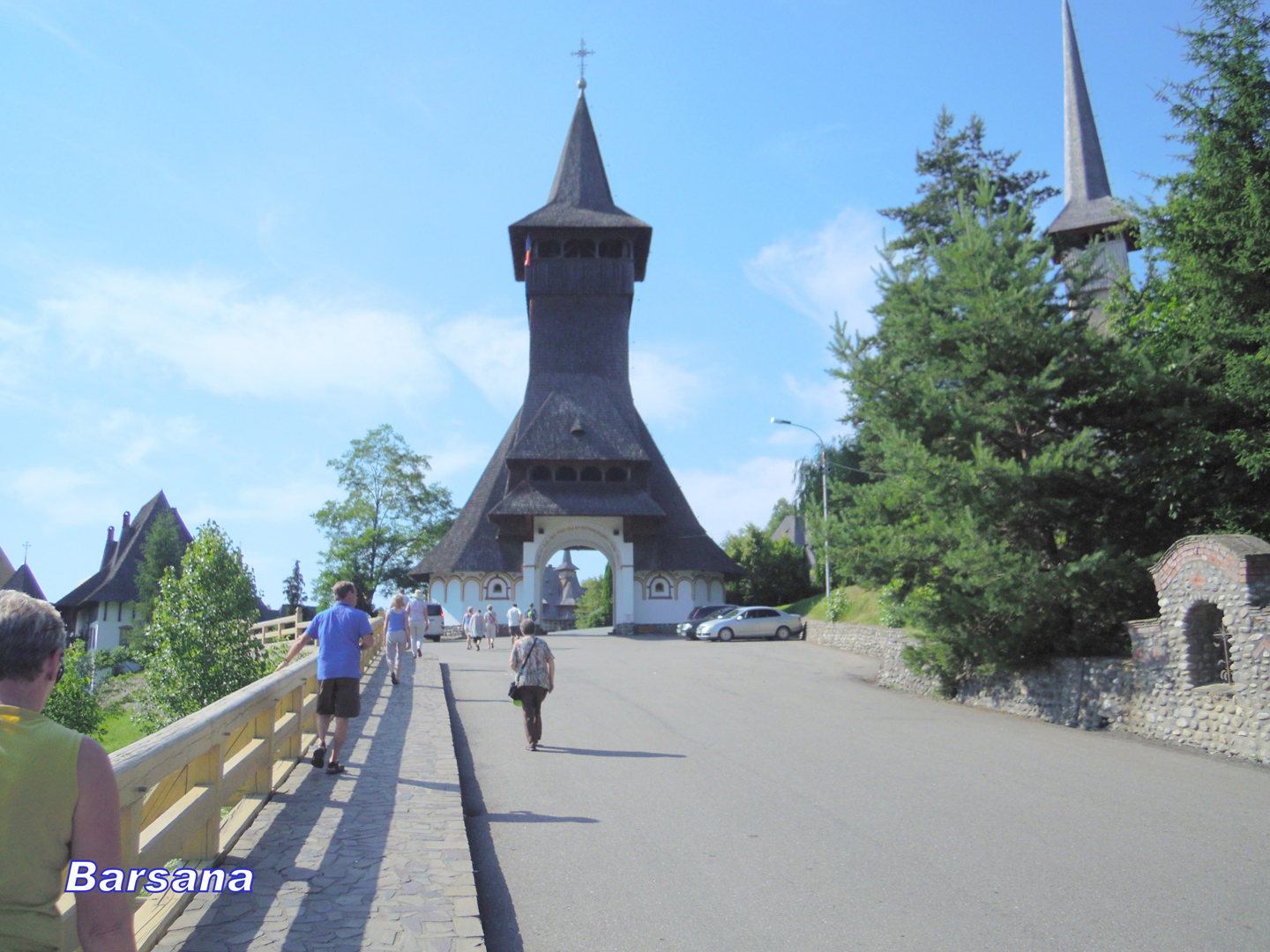 009-008-DSCN5316