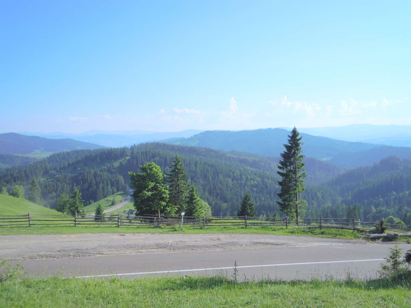 023-022-DSCN5364
