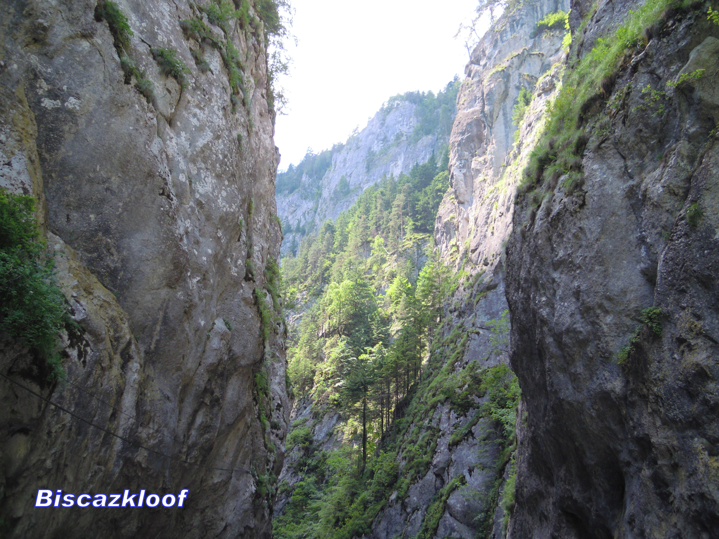 028-027-DSCN5381