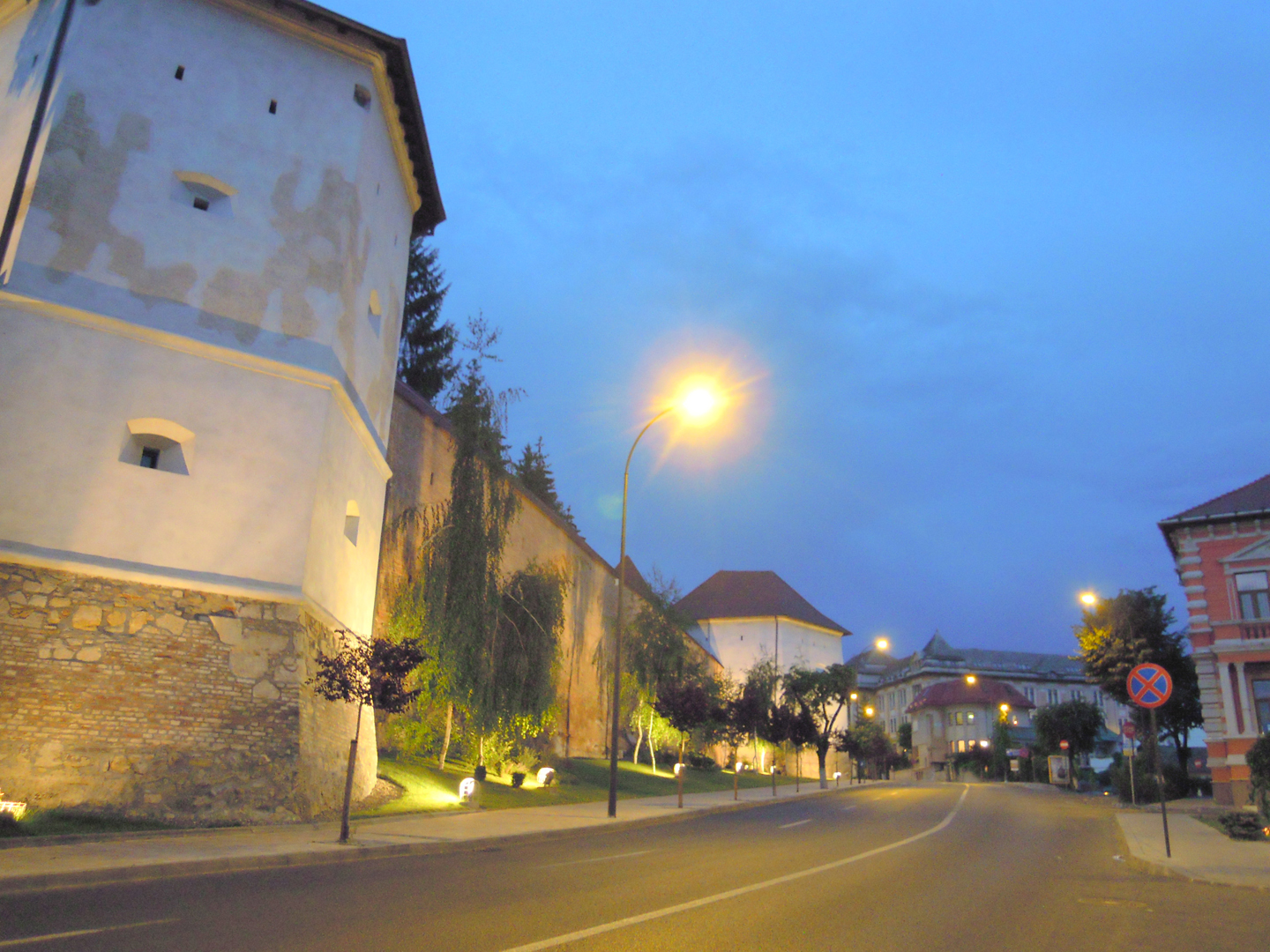 036-036-DSCN5449