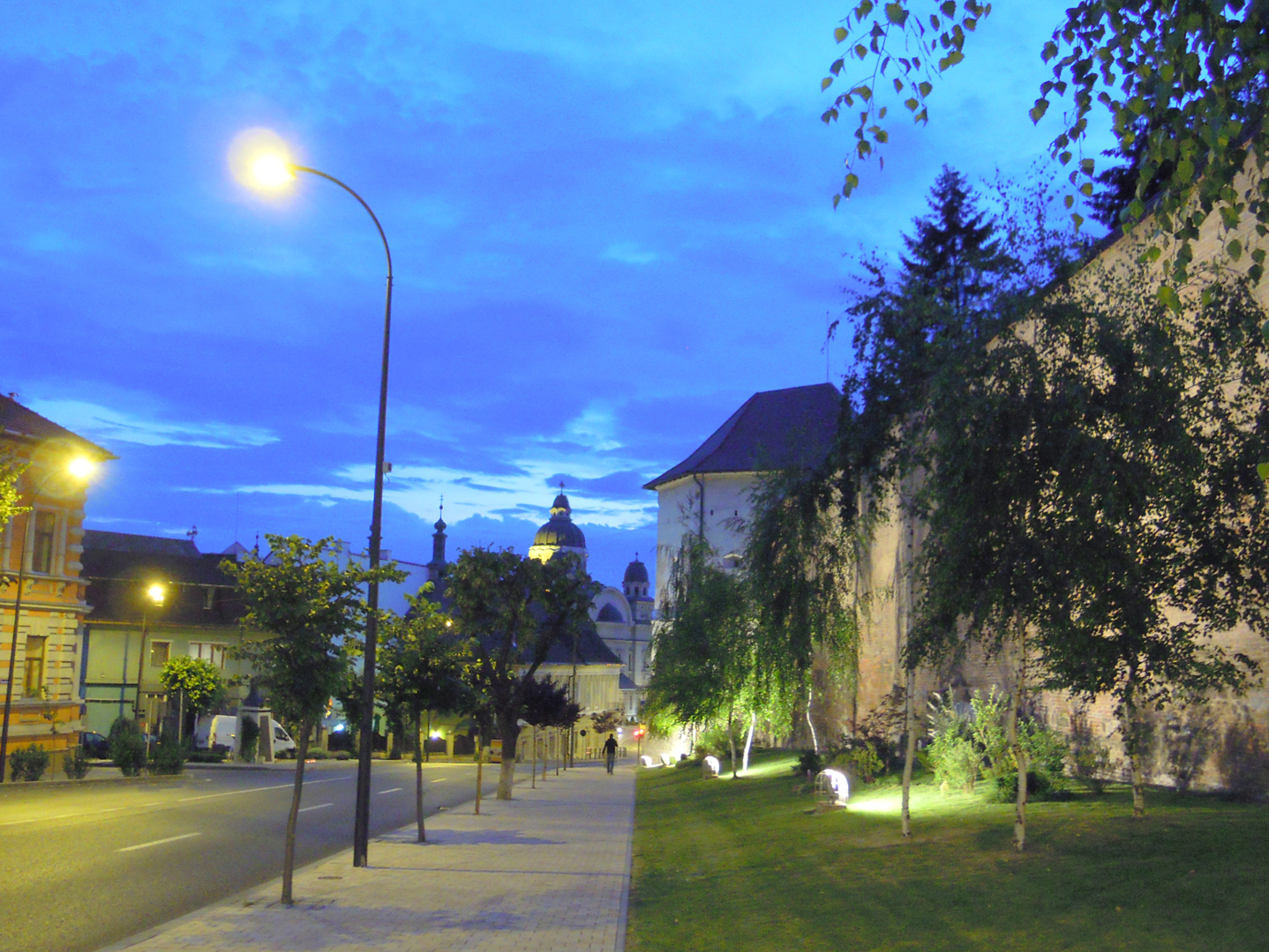 037-037-DSCN5457