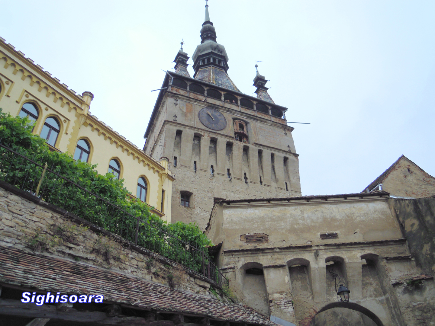 043-043-DSCN5478