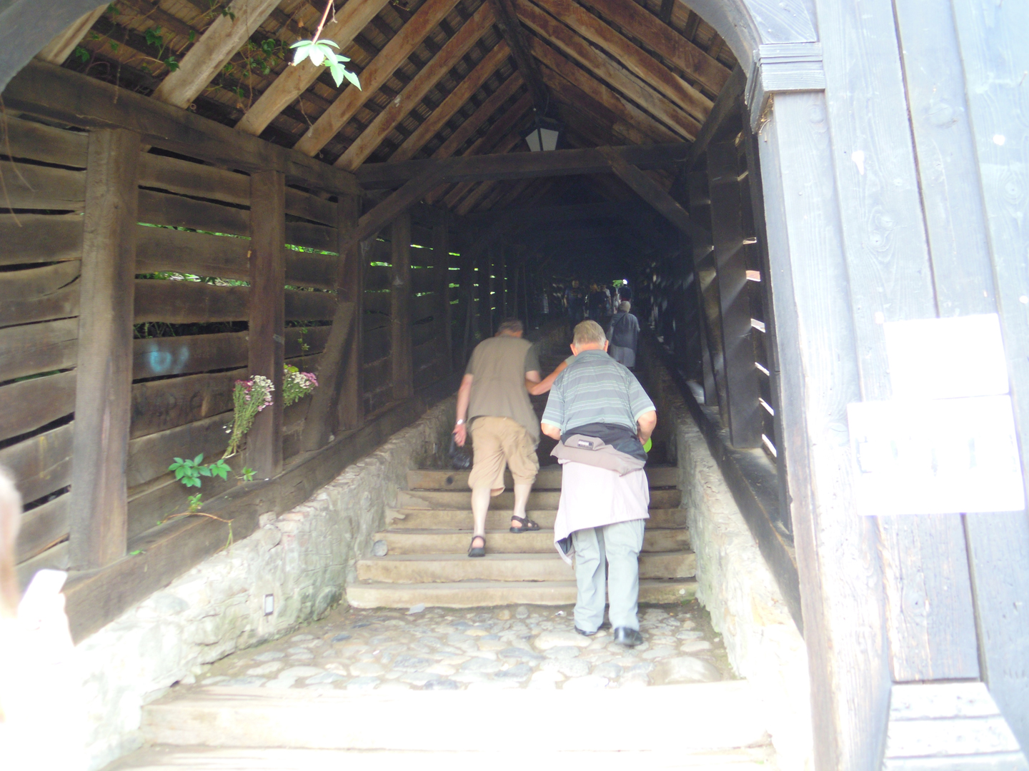 044-044-DSCN5481
