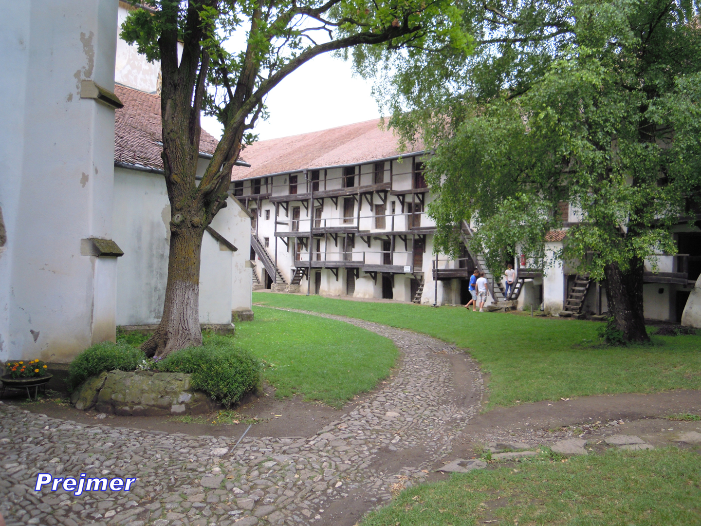 046-046-DSCN5497