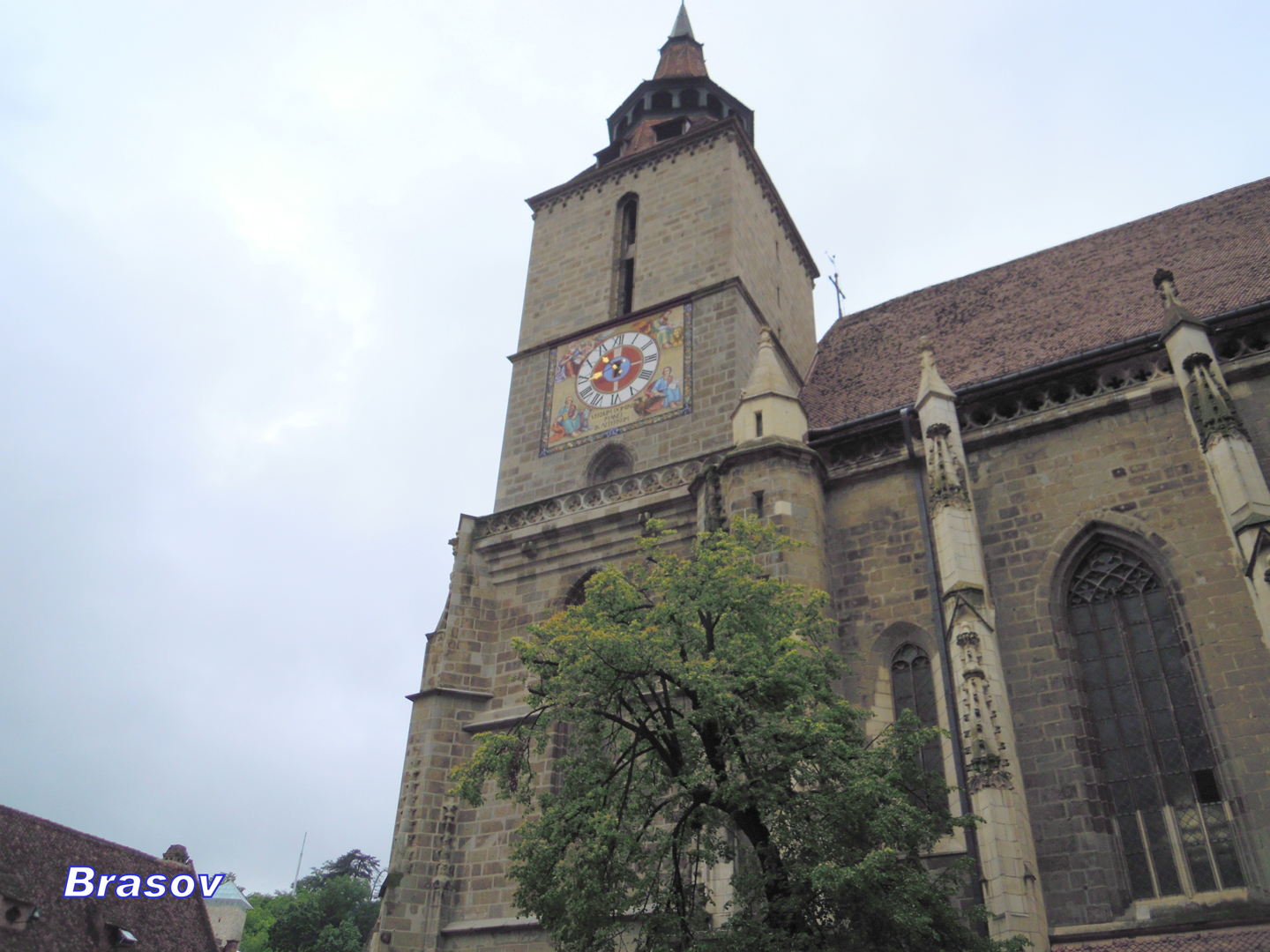 047-047-DSCN5503