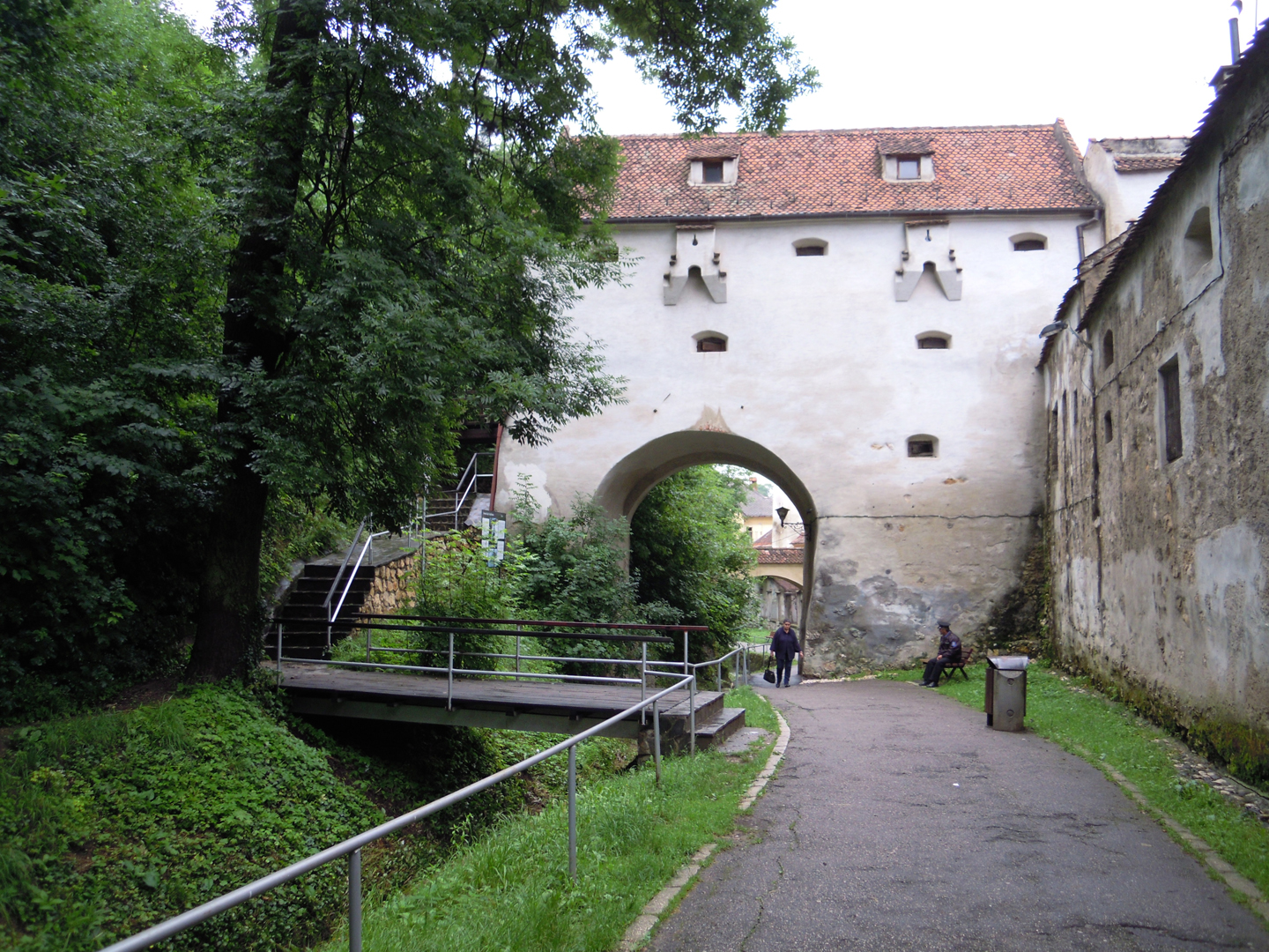 049-049-DSCN5509