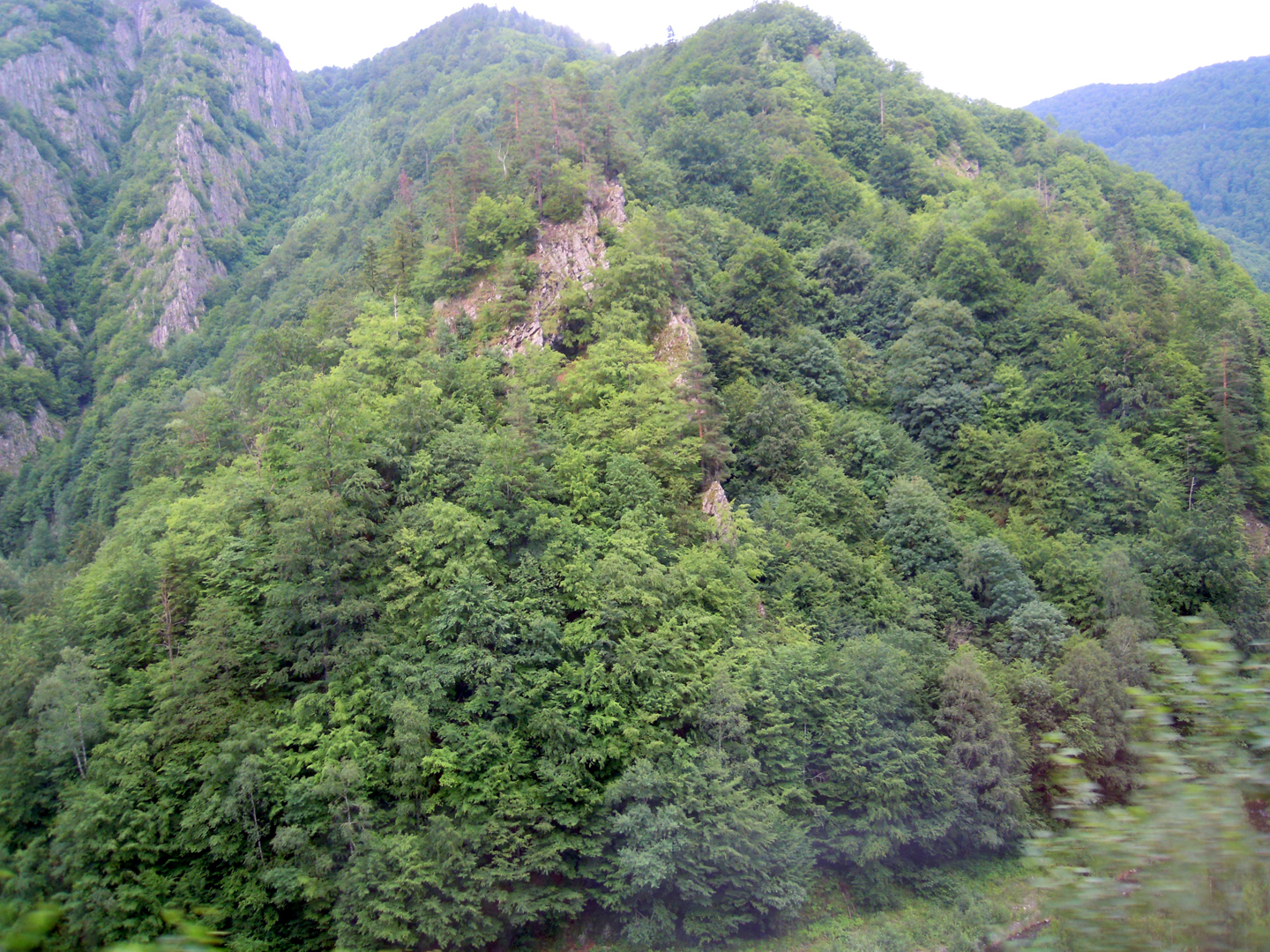 085-085-DSCN5773