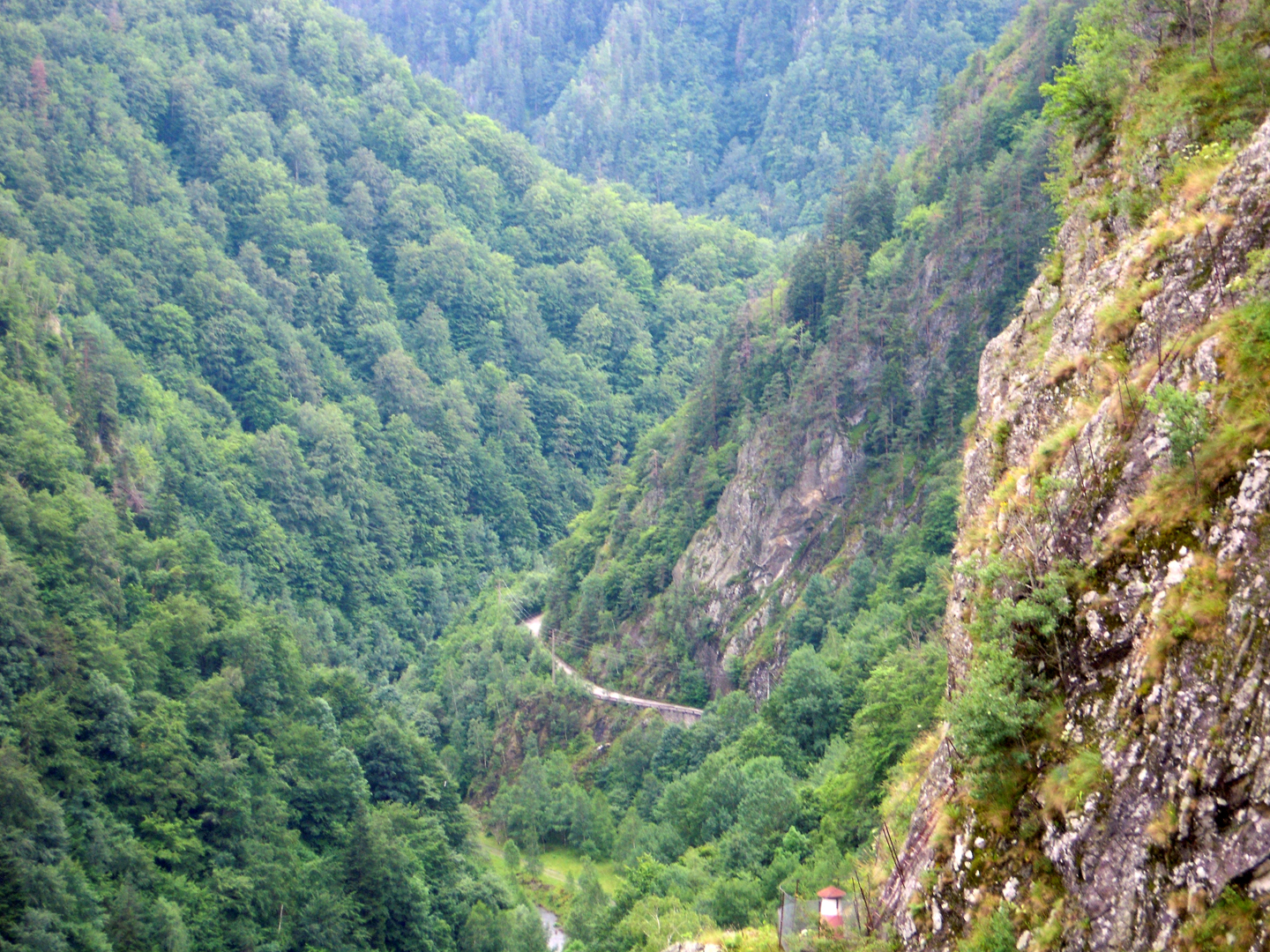 086-086-DSCN5781