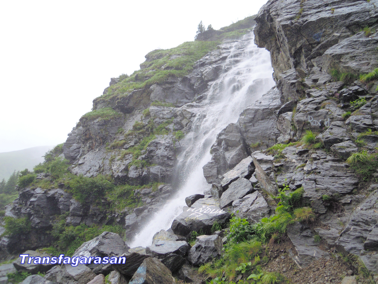 091-091-DSCN5802