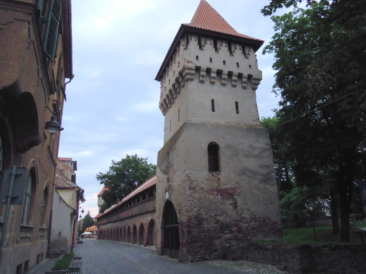 107-107-DSCN5910
