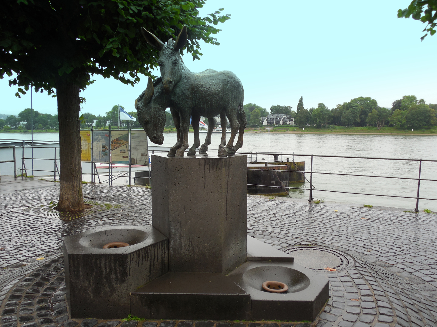 003-DSCN8113