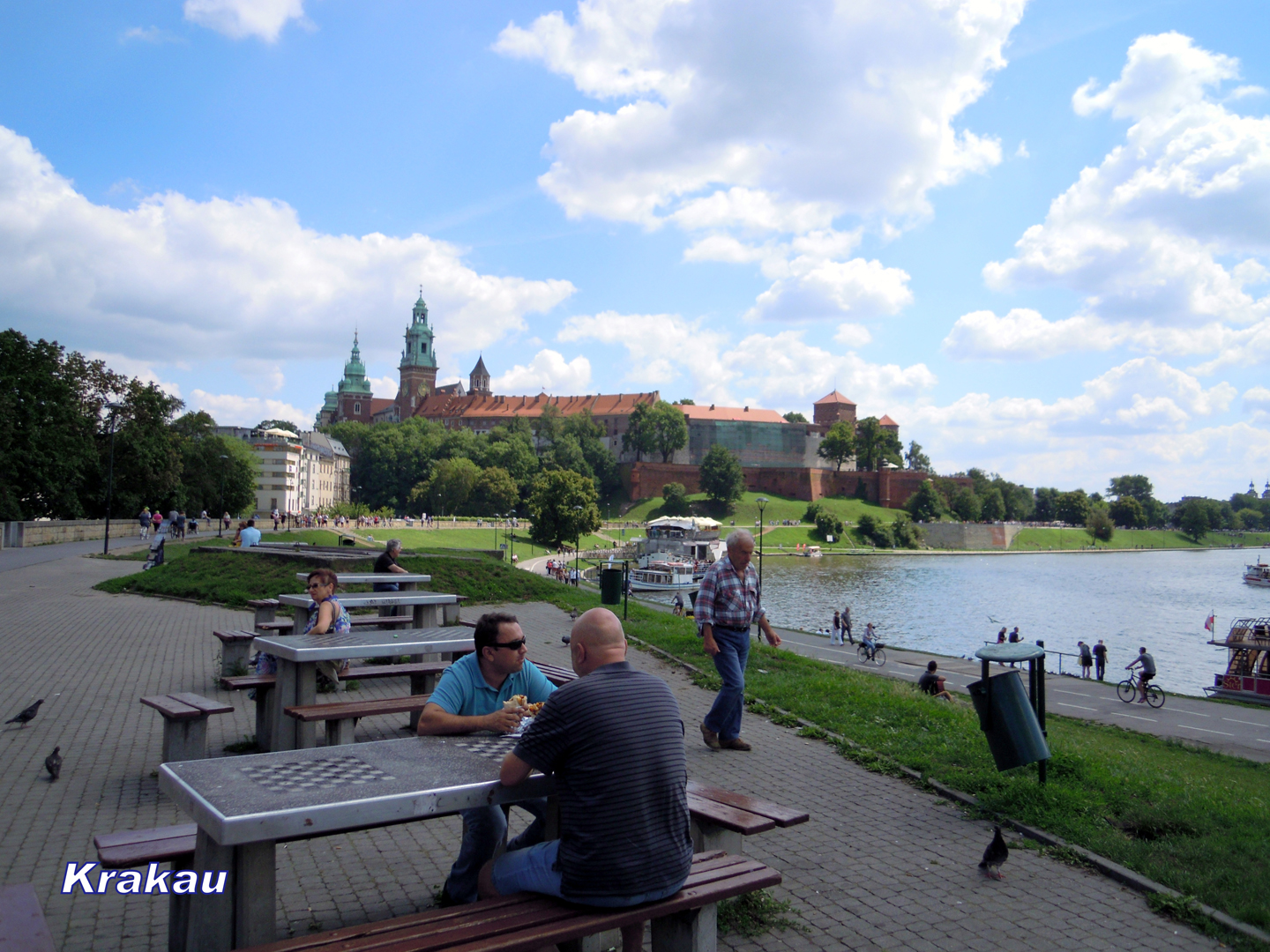 047-DSCN6393