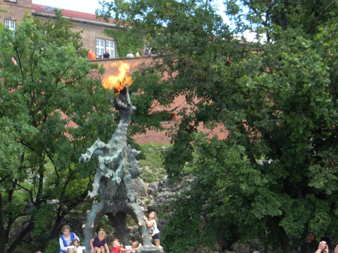 048-DSCN6395